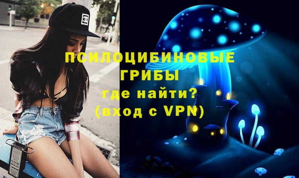 гидра Белоозёрский