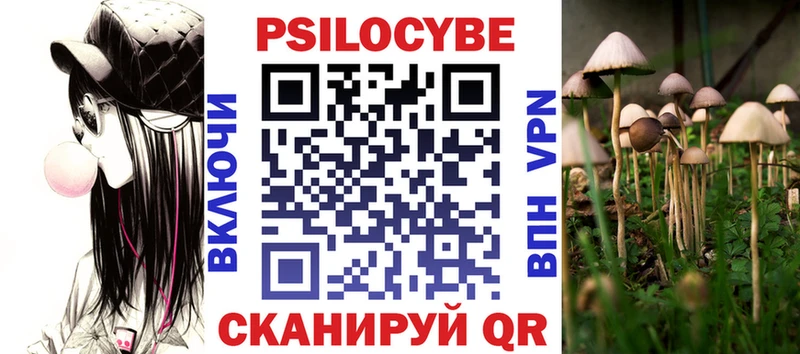 Галлюциногенные грибы мицелий  Вышний Волочёк 